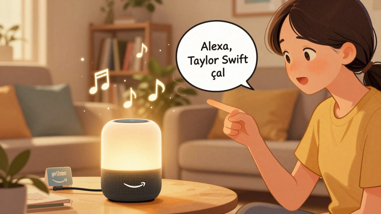 En İyi Müzik Akış Hizmetleri: Alexa, Google ve HomePod için
